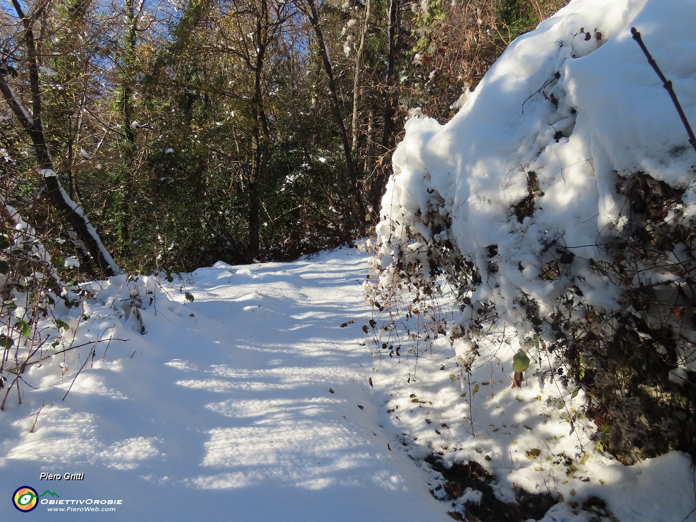 29 Bello pestare soffice neve fresca.JPG